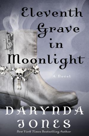 Cover of the book Eleventh Grave in Moonlight by R. E. Conary