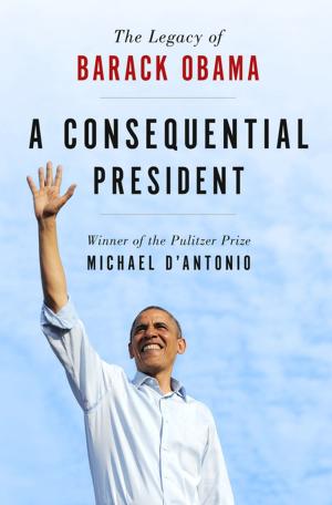 Cover of the book A Consequential President by David McCallum