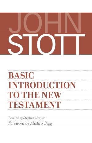Cover of the book Basic Introduction to the New Testament by Paul Barnett