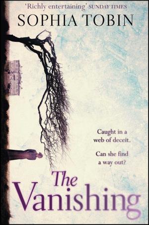 Cover of the book The Vanishing by Heidi Swain