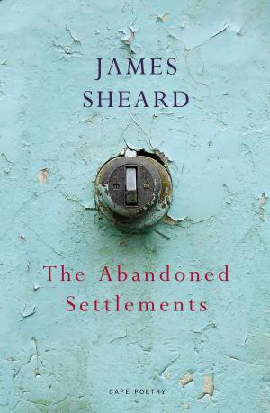 bigCover of the book The Abandoned Settlements by 