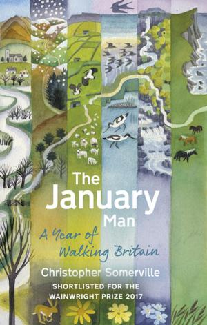 Book cover of The January Man