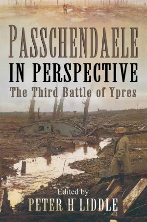 Book cover of Passchendaele in Perspective