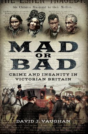 Cover of the book Mad or Bad by Francesco Maria Galassi, Hutan Ashrafian