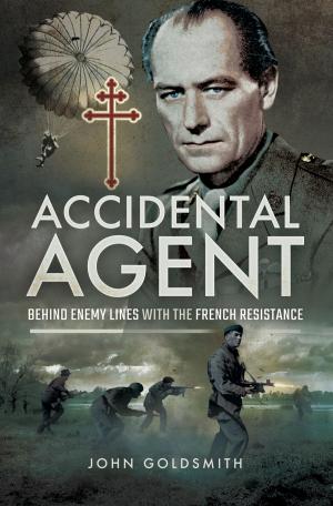 Cover of the book Accidental Agent by Jay W Curry