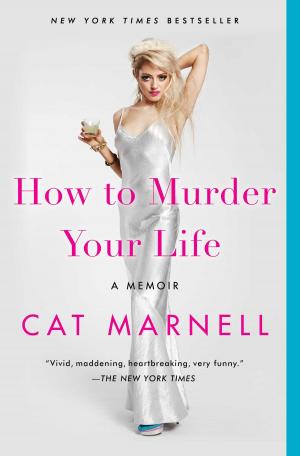 Cover of the book How to Murder Your Life by Alejandro Danois