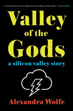 Book cover of Valley of the Gods