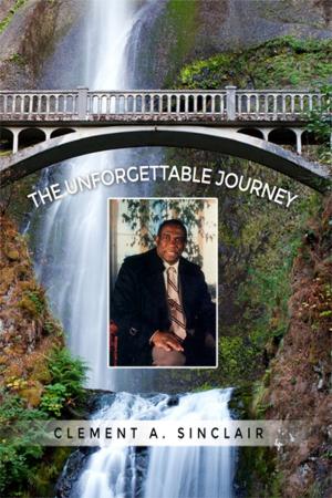 Book cover of The Unforgettable Journey