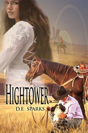 Cover of the book Hightower by Professor William P. Mashela