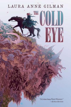 Book cover of The Cold Eye