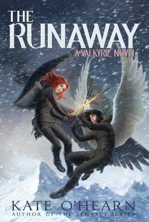 Cover of the book The Runaway by Franklin W. Dixon