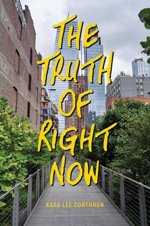 Cover of the book The Truth of Right Now by Derrick Barnes