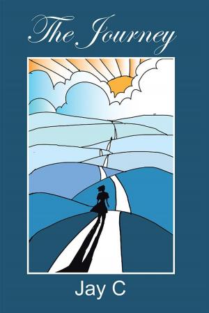 Cover of the book The Journey by SARWAR YOUSOF, GHULAM