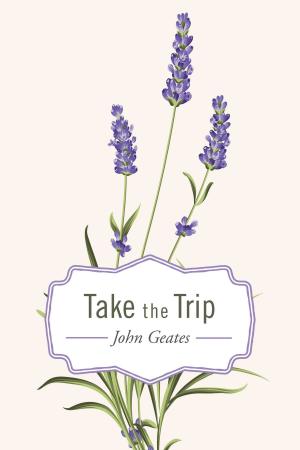 Cover of the book Take the Trip by Joy E. Karp