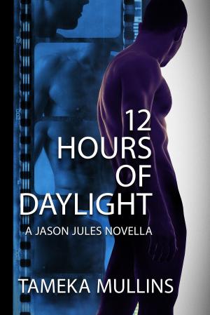 Cover of the book 12 Hours of Daylight – a Jason Jules Novella by Patrick Siegler