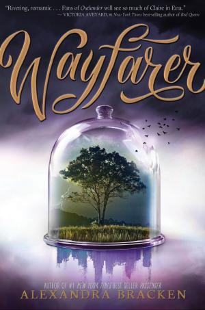 Cover of the book Wayfarer (Volume 2) by Penny Jordan