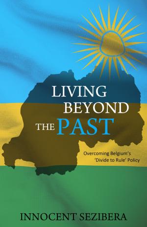 Cover of the book Living Beyond the Past by Hayward, Anne