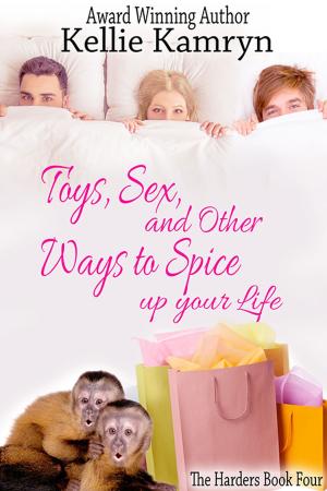 Book cover of Toys, Sex and Other Ways to Spice Up Your Life