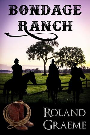 Cover of the book Bondage Ranch by Rachael Herron