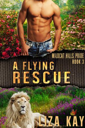 Cover of the book A Flying Rescue by Bekki Lynn