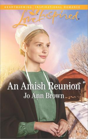 Cover of the book An Amish Reunion by Elizabeth Bevarly