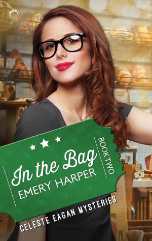 Cover of the book In the Bag by Katie Allen