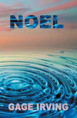 Cover of the book Noel by LJ Sherard