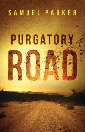Cover of the book Purgatory Road by Raymond R Mitsch, Lynn Brookside