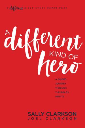 Cover of the book A Different Kind of Hero by Ed Stetzer