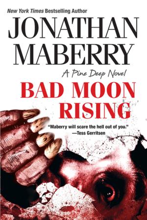 Cover of the book Bad Moon Rising by J.R. Ripley