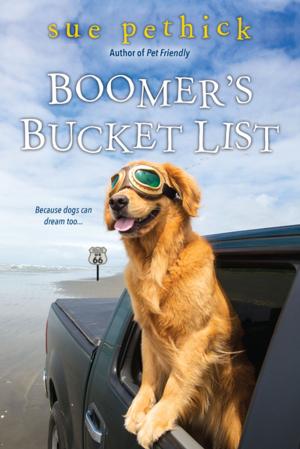 Cover of the book Boomer's Bucket List by Sharyn McCrumb