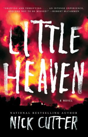Cover of the book Little Heaven by Brandan Hadlock
