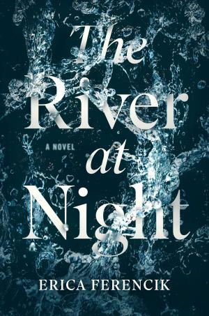 Cover of the book The River at Night by Lila Shaw, Sandra Bunino