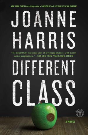 Book cover of Different Class