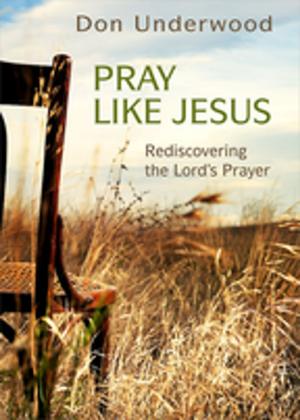 Book cover of Pray Like Jesus