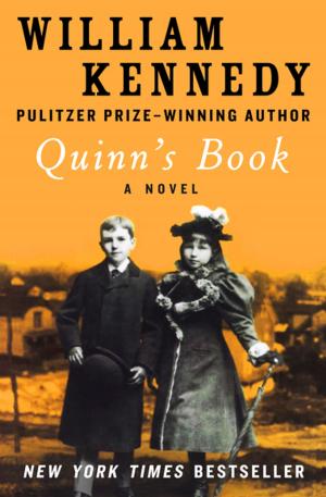 Cover of the book Quinn's Book by Irwin Shaw