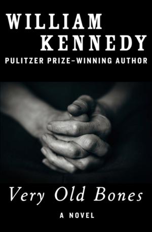 Cover of the book Very Old Bones by K McConnell