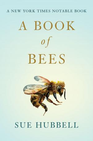 Cover of the book A Book of Bees by Vance Bourjaily