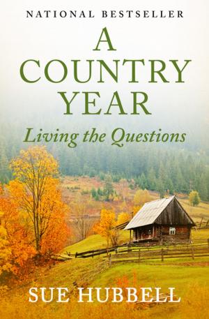 Cover of the book A Country Year by Patricia Wentworth