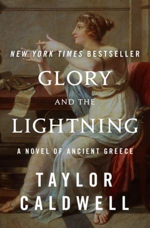 Cover of the book Glory and the Lightning by Aaron Elkins