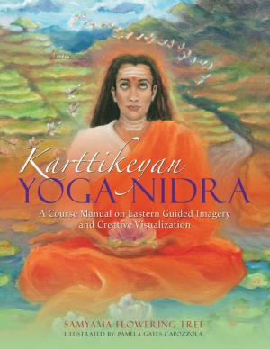Cover of the book Karttikeyan Yoga Nidra by David L. Peters