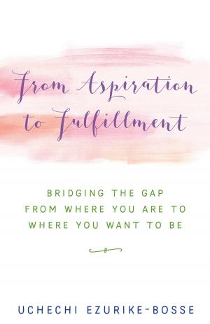 Cover of the book From Aspiration to Fulfillment by Jo Barnard