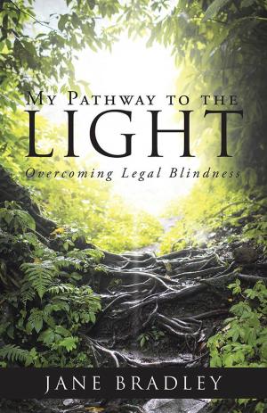 bigCover of the book My Pathway to the Light by 