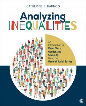 Book cover of Analyzing Inequalities