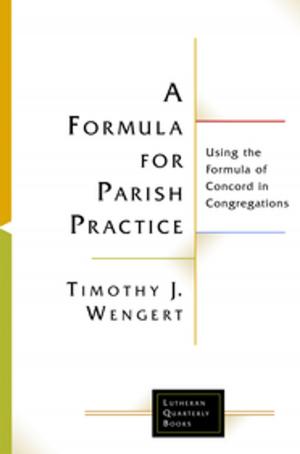 Cover of the book A Formula for Parish Practice by Tim Dowley