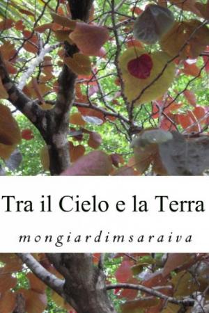 Cover of the book Tra il Cielo e la Terra by Bernard Levine