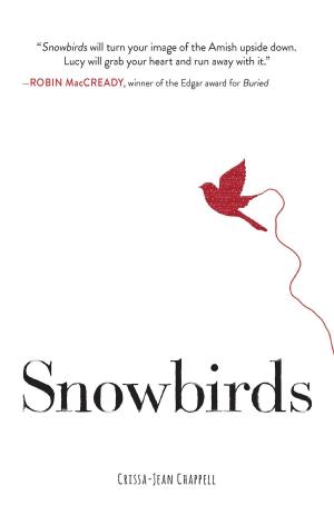Cover of the book Snowbirds by Aimee Friedman