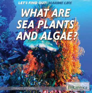 Cover of the book What Are Sea Plants and Algae? by Sherman Hollar