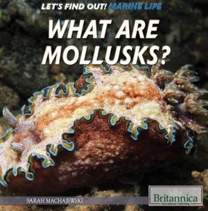 Cover of the book What Are Mollusks? by Nicholas Faulkner