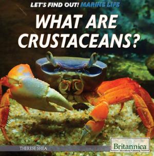 Cover of the book What Are Crustaceans? by Michael Anderson